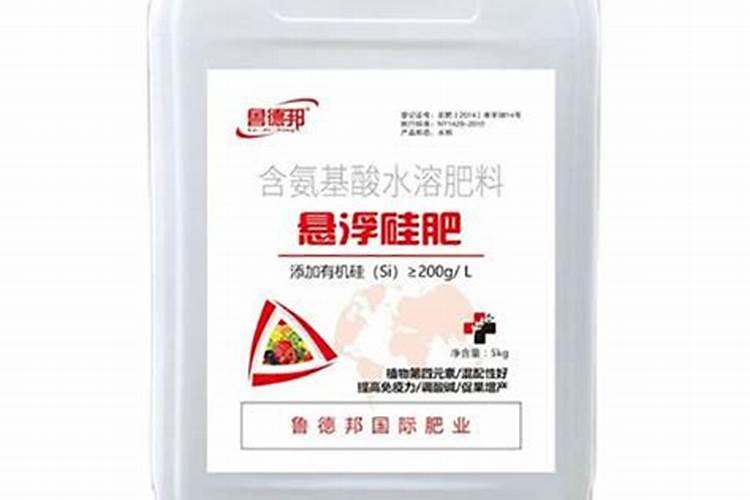 豆瓣绿叶子发黄怎么办？豆瓣绿叶子变软的处理办法