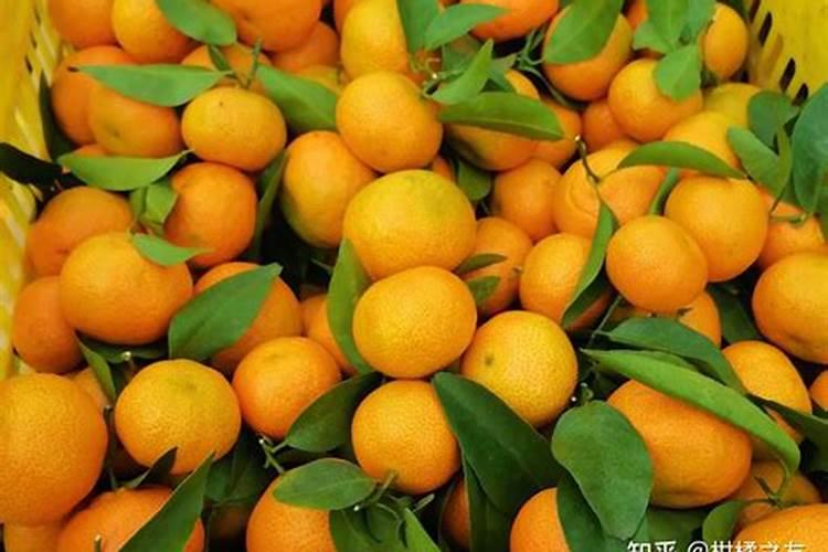 桂花树不开花怎么回事