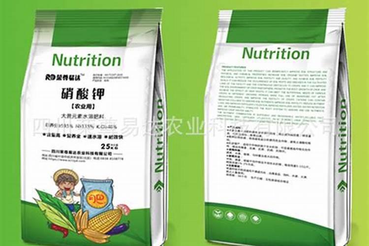 水培植物四季施肥与养护