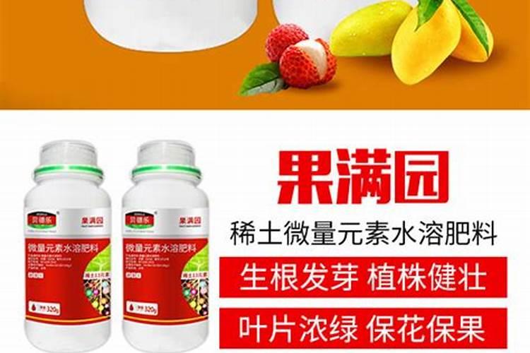 杏花的品质是什么？