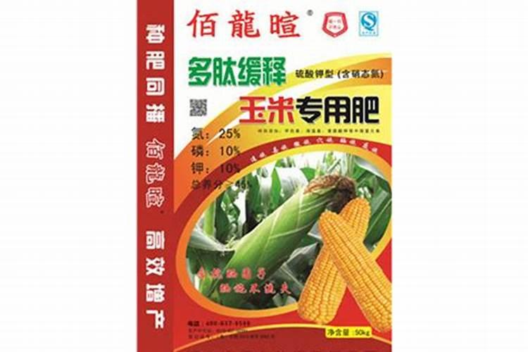 种玉米用什么肥料