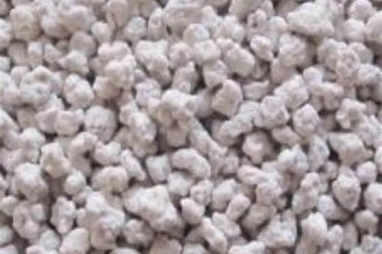 玉米育苗必须注意,需要施什么化肥呢？