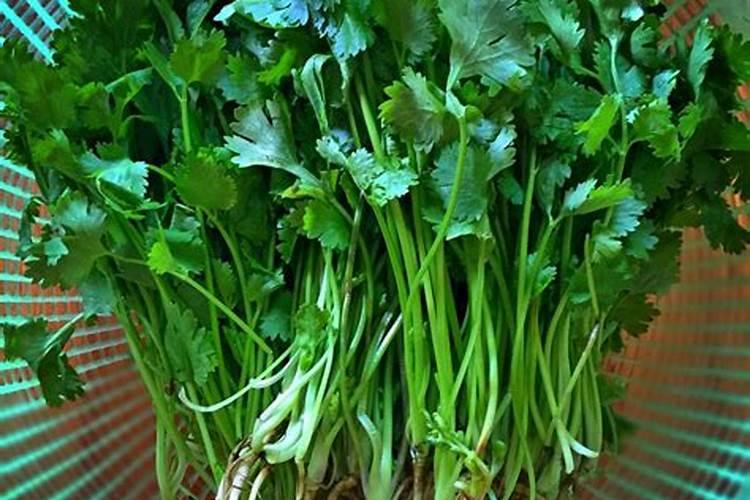 农作物复合肥能用来养花吗