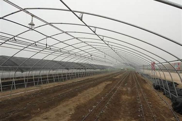 化肥尿素有保质期吗 尿素放几年还能用吗