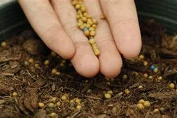 磷肥养花的作用及使用方法