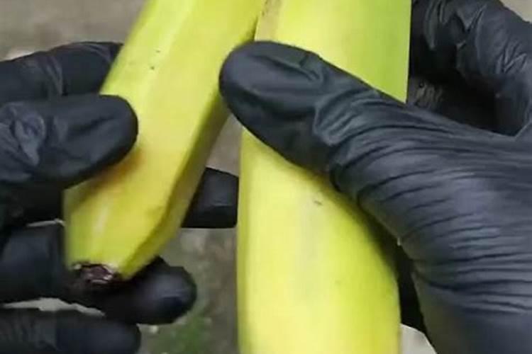 夏黑葡萄彭大不泡果,用喷雾器喷,会受影响导致裂果吗