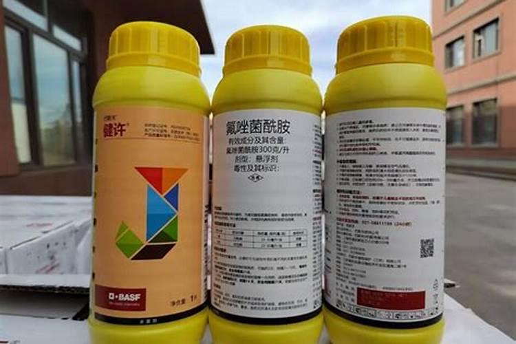 磷肥的最佳使用时间及用量