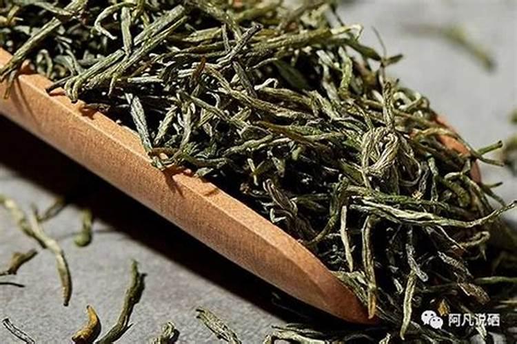 月季遭氮肥肥害该怎么办