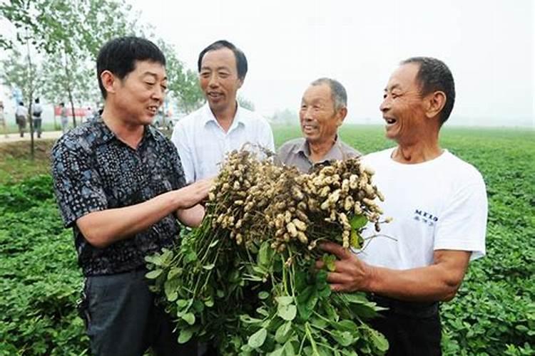 哪个牌子的生物有机肥发酵剂好用？