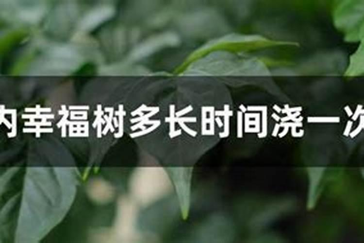 葡萄树浇水一般多少天浇一次