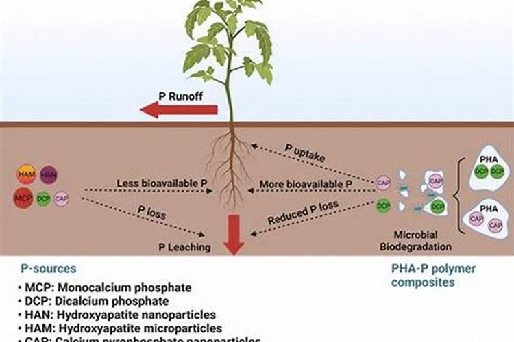 果菜类蔬菜施肥和生命酶2号的使用!