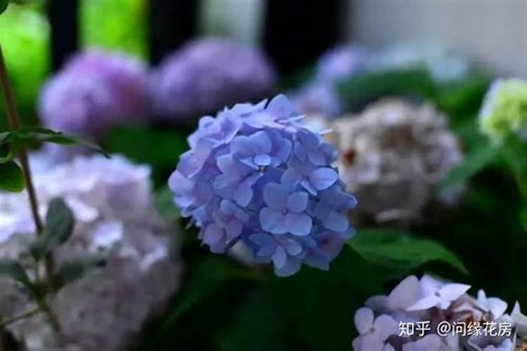 附近的有机肥生产厂家