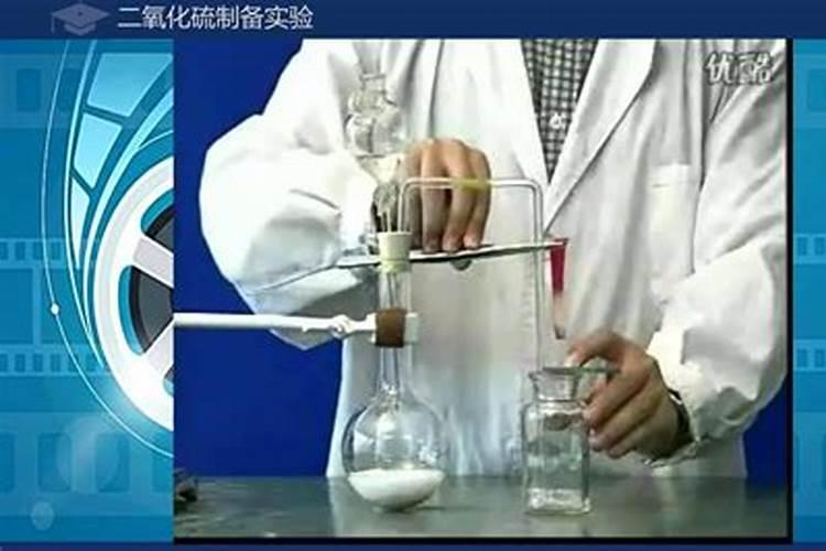 桃树叶子发黄什么原因