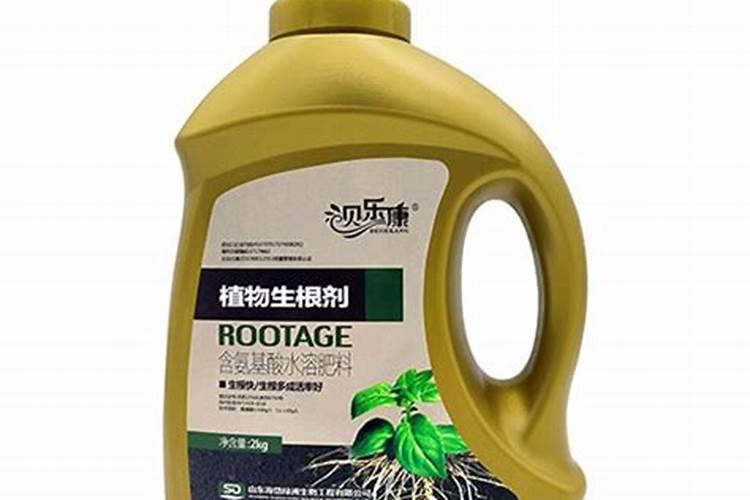 烤过的香蕉口感有哪些变化？