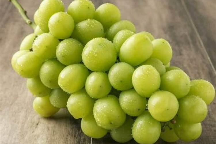 锌对玉米有什么好