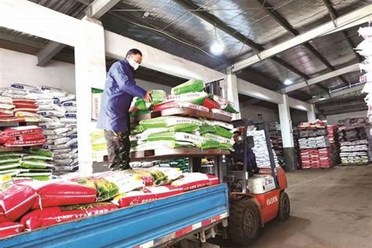 大棚西红柿怎么浇水和冲肥法