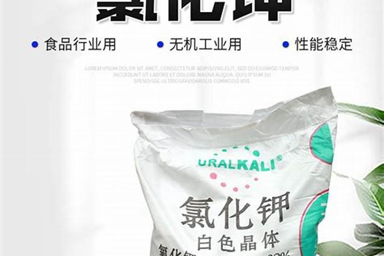 三角梅什么时候施肥好