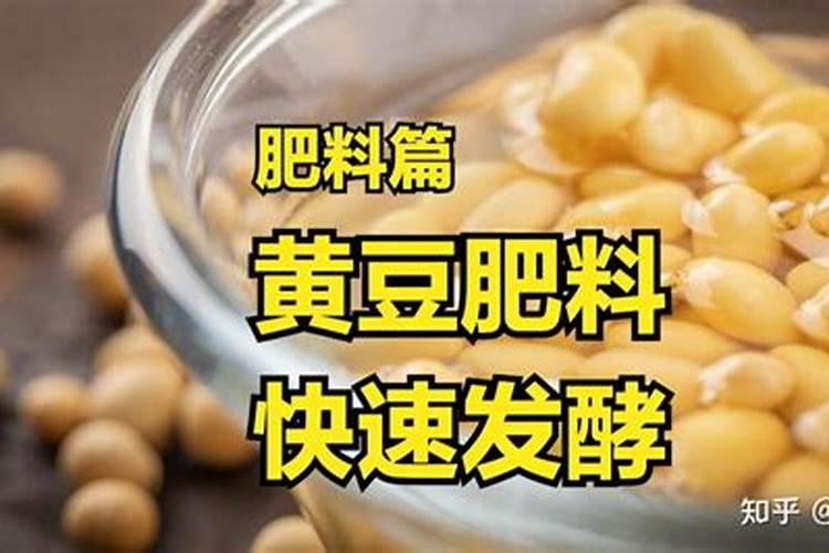 一亩地用黄豆发酵的原液一百斤能肥得起来吗？