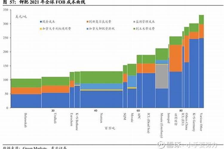 高贵典雅的棕榈树,很适合在客厅养殖,如何养好呢？
