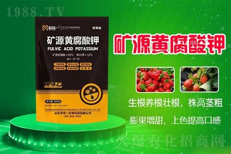 种丝瓜用什么肥料最好