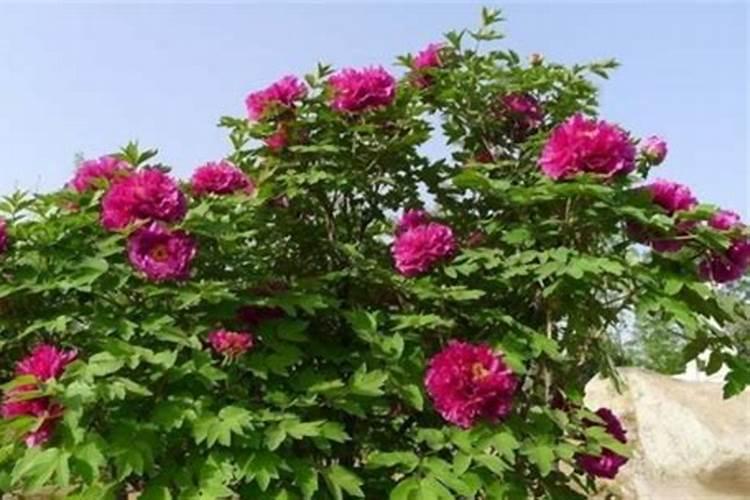 欧阳文崎个人资料