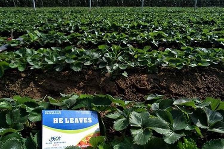 多多果园怎么找人pk浇水？有什么攻略？