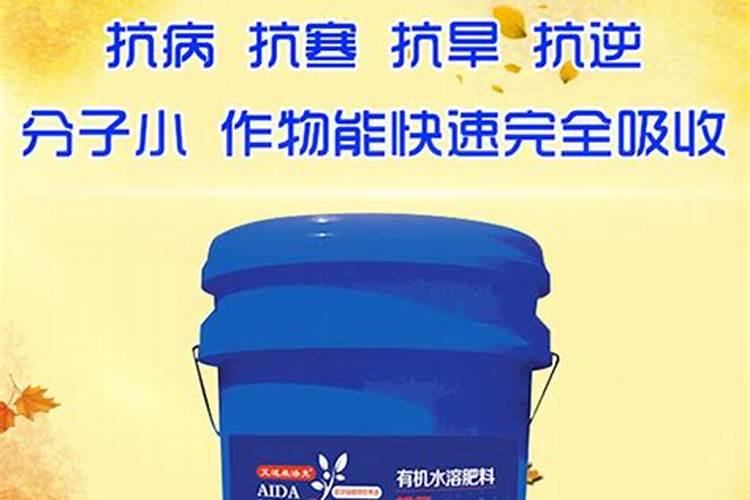 柑橘花期用什么农药,可以施尿素吗