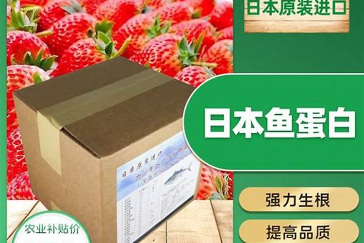 哪种肥料适合在柑橘开花时使用