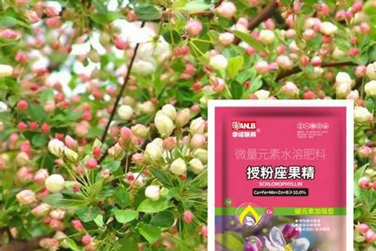 复合肥可以做叶面肥给花喷施吗