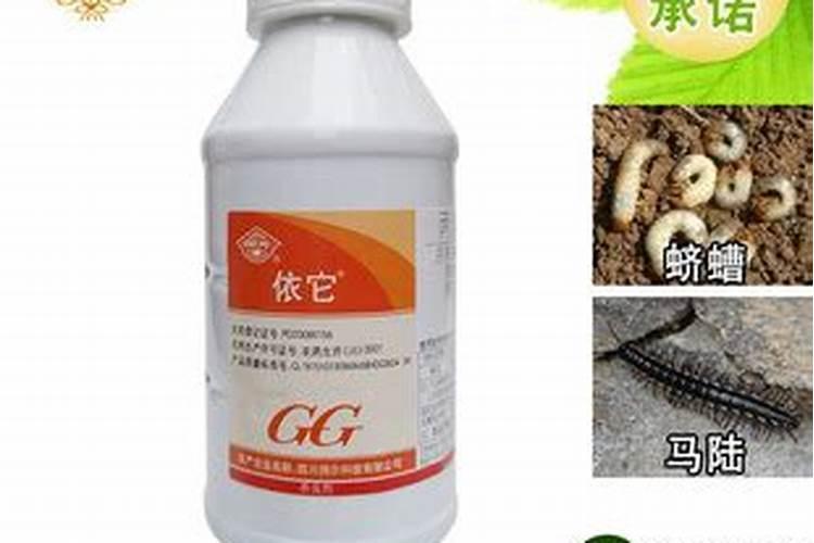 辛硫磷颗粒可以撒在草坪上吗