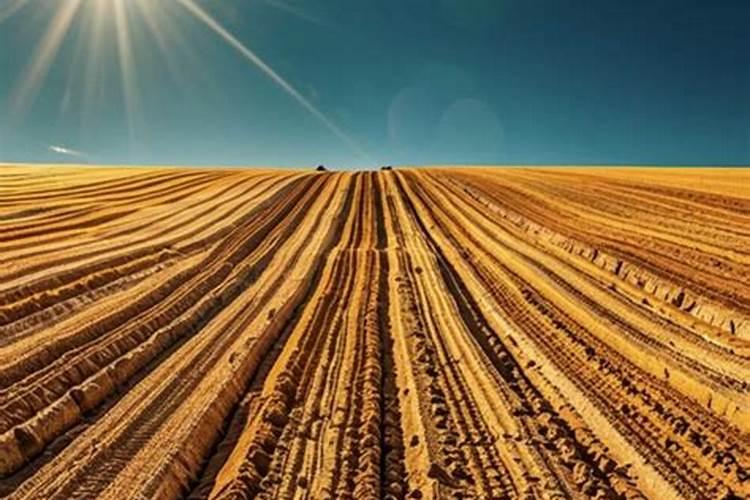 蟹塘水浓水绿怎样变清