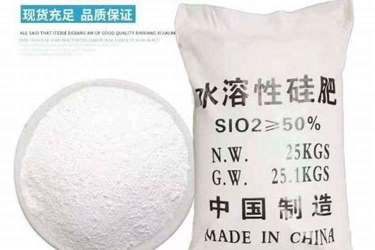 硅肥在水稻的作用及使用方法