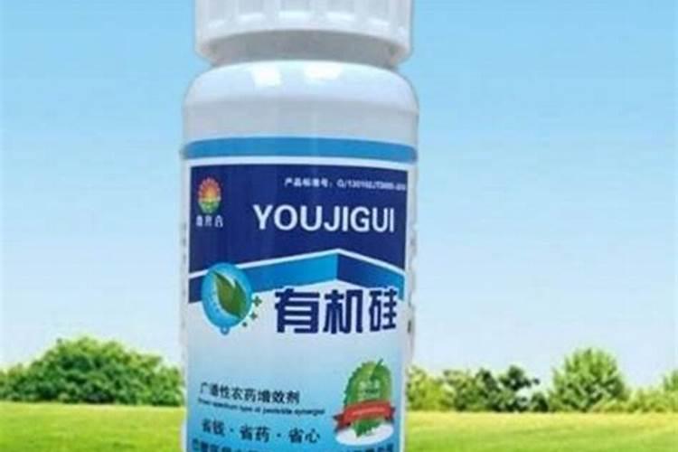 水稻硅肥正确使用方法 什么时候使用效果好