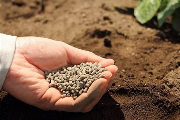 山药在十月份还霉要打液面肥吗