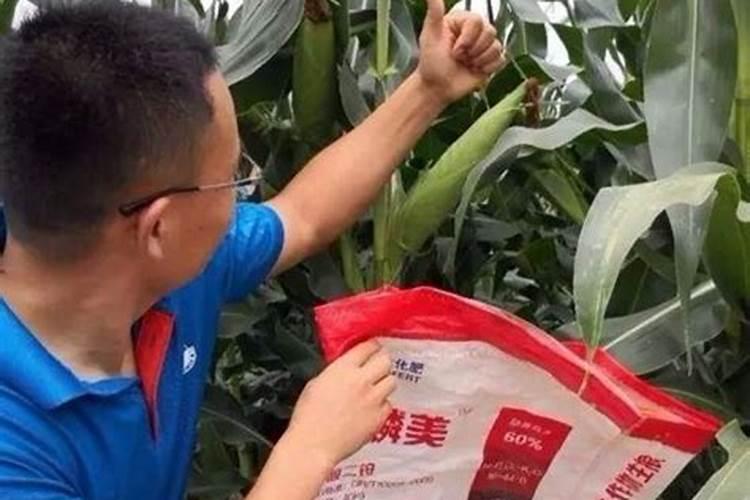 种植白瓜用氯化钾型复合肥行吗