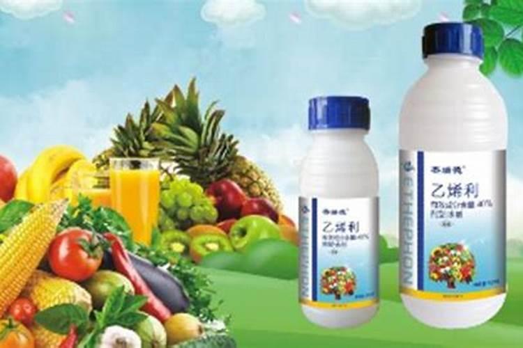 促进植物根系生长的方法