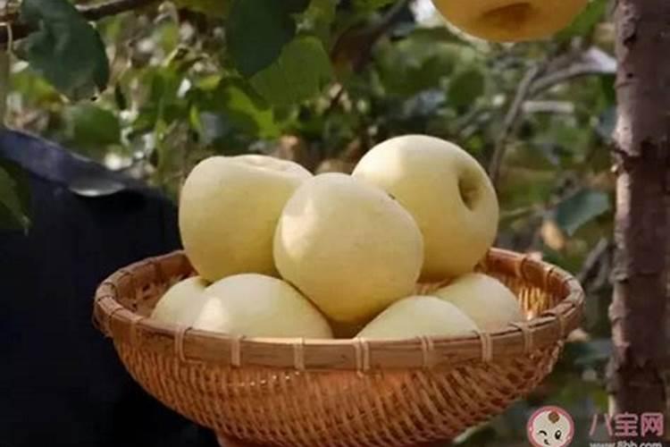 柑橘全年施肥时间表 柑橘应该怎么施肥