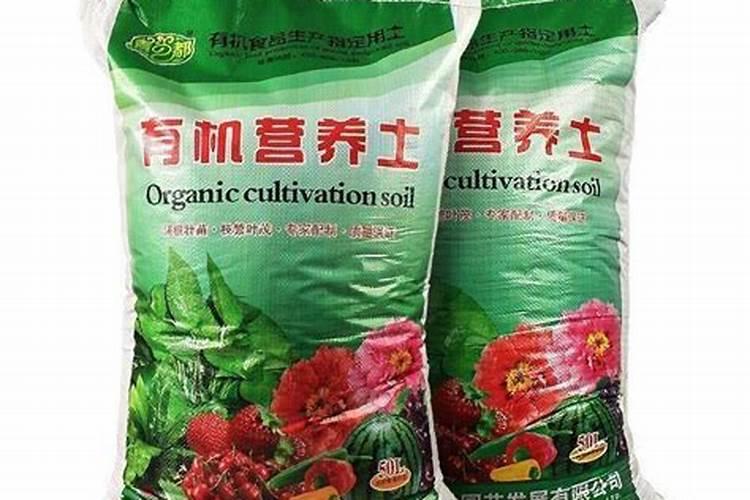 盆栽植物的营养土里有什么“营养”？
