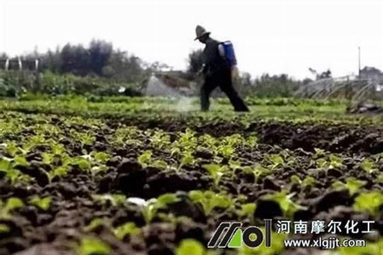 一吨大豆能出多少磷脂