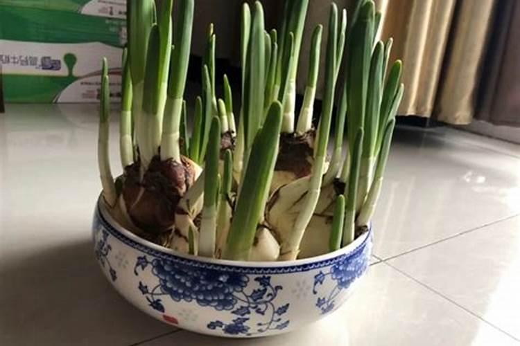 什么天气给菜施肥,今天晴,后几天说连续下雨,今天可以施肥吗？