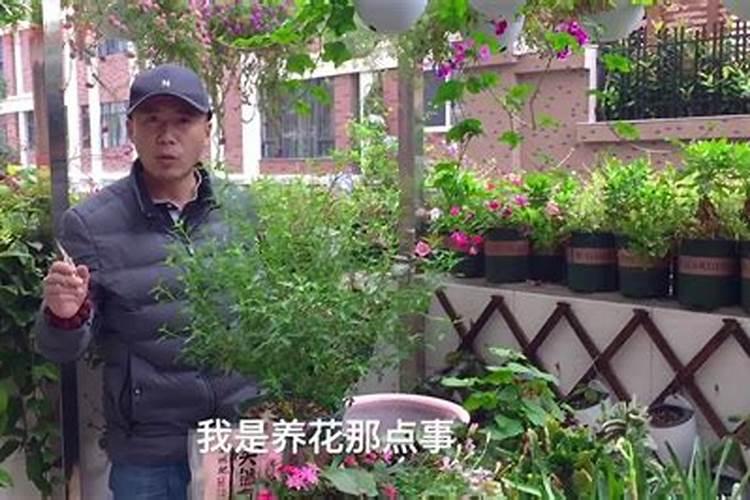 青海盐湖工业集团股份有限公司公司概况