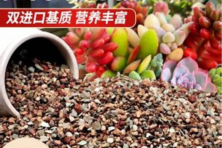 白菜打磷酸二氢钾好不