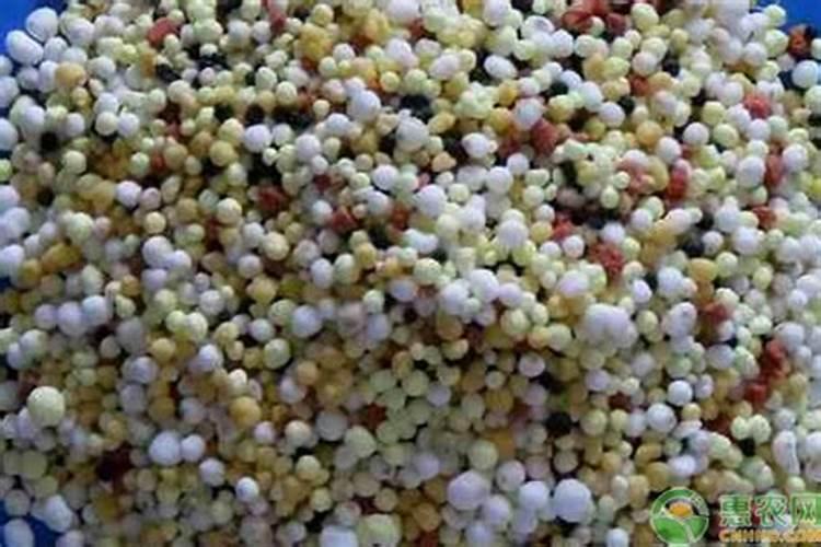 泡黄豆可以做花肥吗