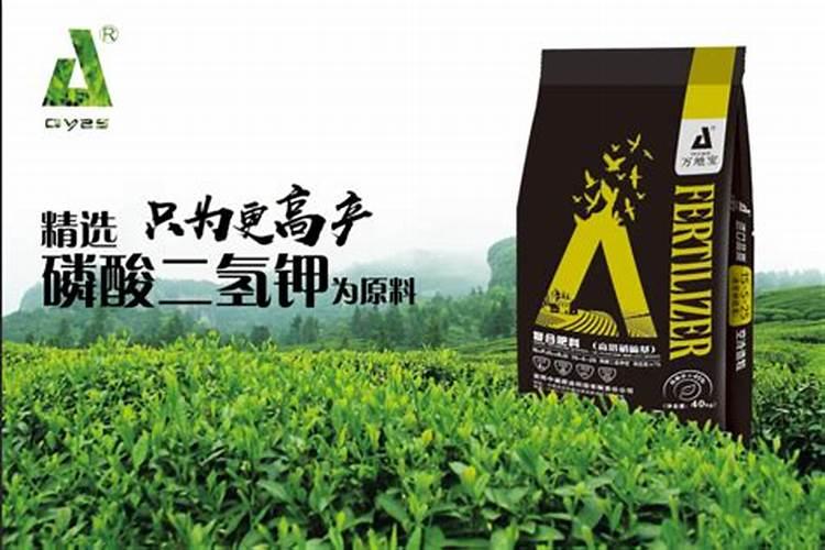 兰花在生长期施什么肥最好？