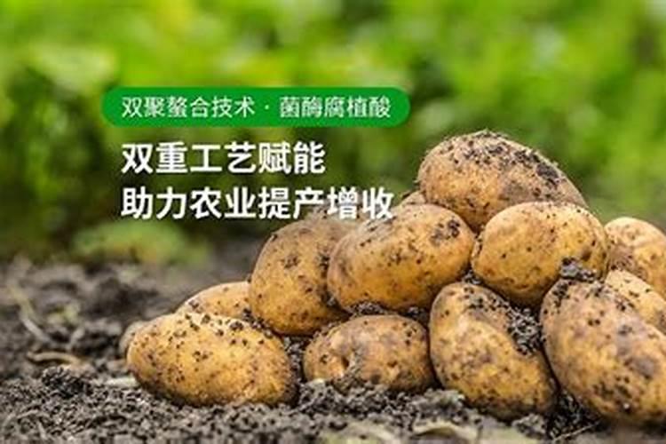 【罗布泊硫酸钾】国投罗钾全力保障春耕,助力农业丰收