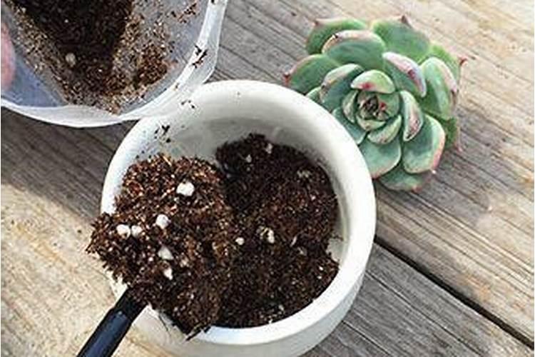 西瓜授粉期间能浇水吗