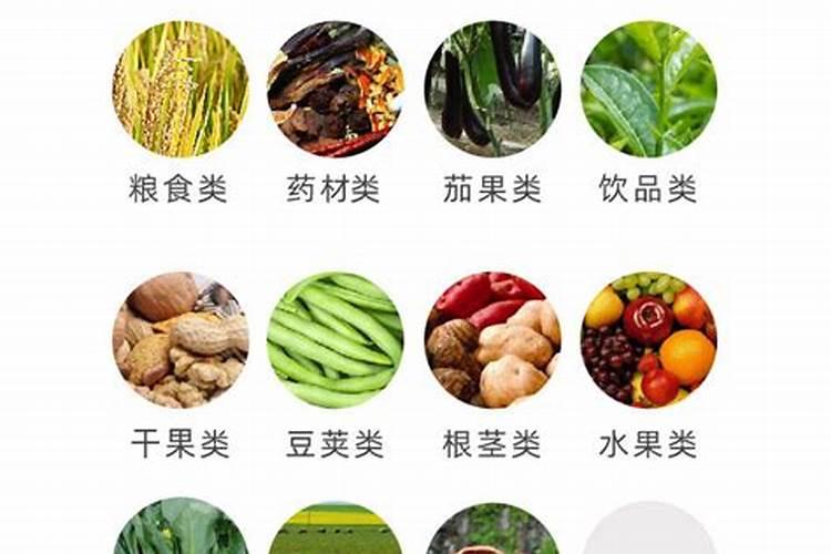 果树铺底肥硝酸钾好还是硫酸钾好？