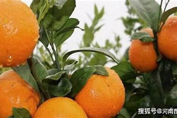 复合肥在水田过一夜,第二天水流走了,肥料会流失吗？