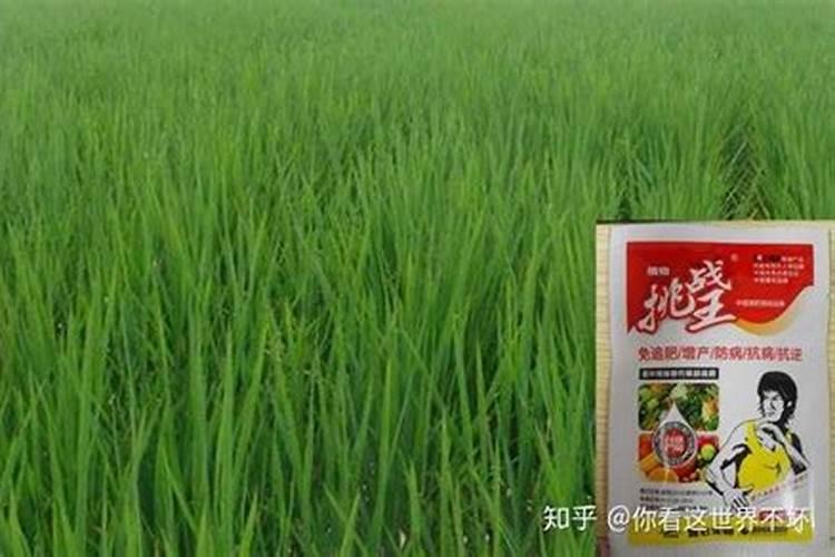 蔬菜叶面肥木醋液市场