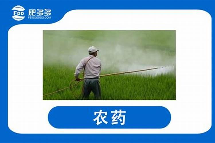 流体硼最忌三种农药